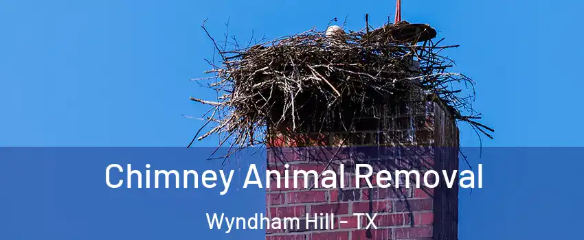 Chimney Animal Removal Wyndham Hill - TX