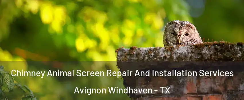 Chimney Animal Screen Repair And Installation Services Avignon Windhaven - TX