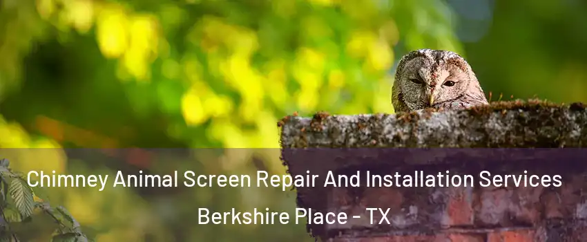 Chimney Animal Screen Repair And Installation Services Berkshire Place - TX