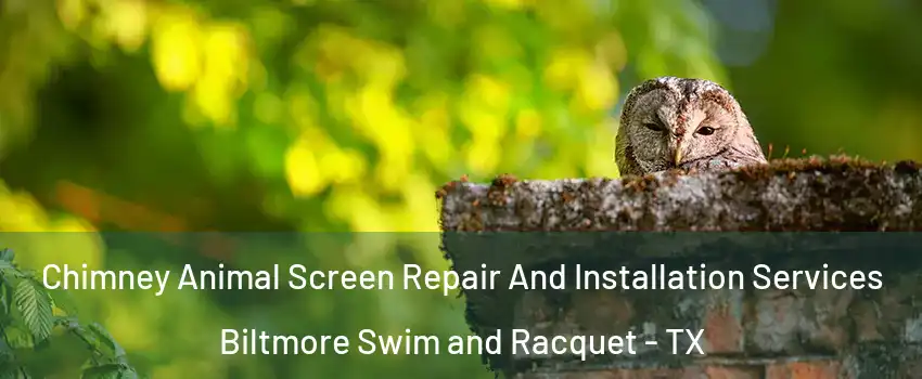 Chimney Animal Screen Repair And Installation Services Biltmore Swim and Racquet - TX