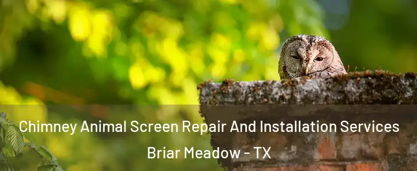 Chimney Animal Screen Repair And Installation Services Briar Meadow - TX