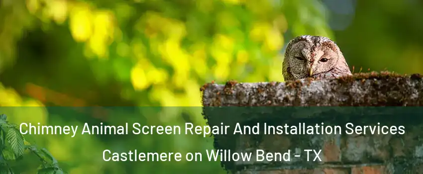 Chimney Animal Screen Repair And Installation Services Castlemere on Willow Bend - TX