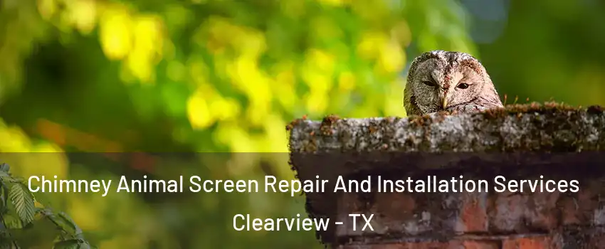 Chimney Animal Screen Repair And Installation Services Clearview - TX