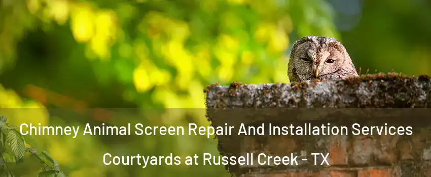 Chimney Animal Screen Repair And Installation Services Courtyards at Russell Creek - TX