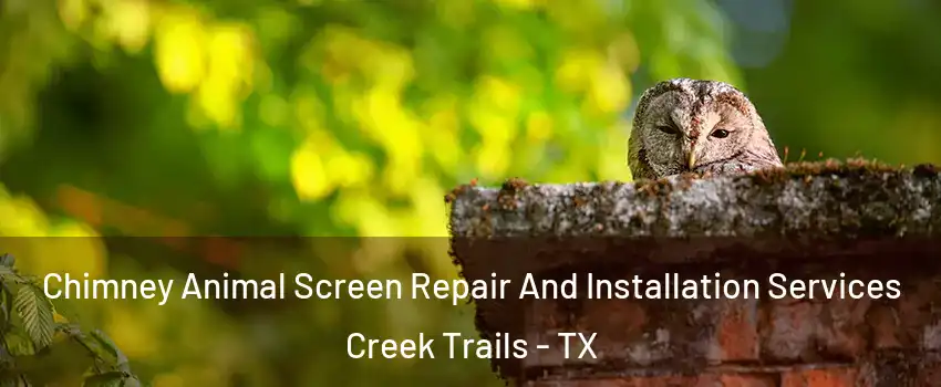 Chimney Animal Screen Repair And Installation Services Creek Trails - TX