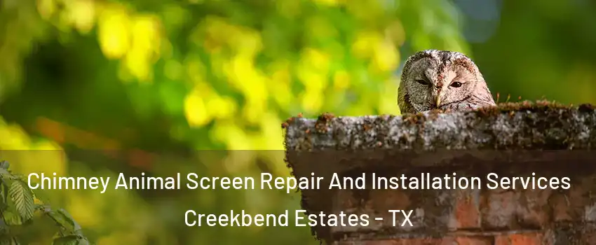 Chimney Animal Screen Repair And Installation Services Creekbend Estates - TX