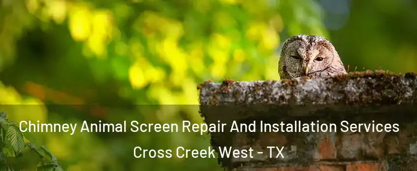 Chimney Animal Screen Repair And Installation Services Cross Creek West - TX