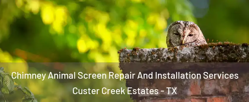 Chimney Animal Screen Repair And Installation Services Custer Creek Estates - TX