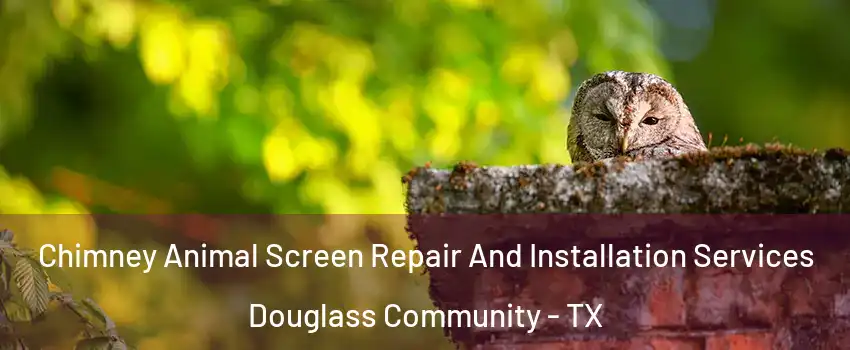 Chimney Animal Screen Repair And Installation Services Douglass Community - TX