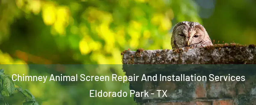 Chimney Animal Screen Repair And Installation Services Eldorado Park - TX