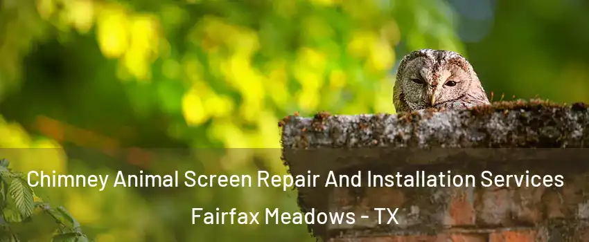 Chimney Animal Screen Repair And Installation Services Fairfax Meadows - TX