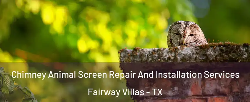 Chimney Animal Screen Repair And Installation Services Fairway Villas - TX