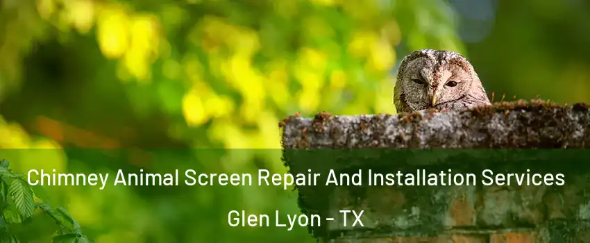 Chimney Animal Screen Repair And Installation Services Glen Lyon - TX