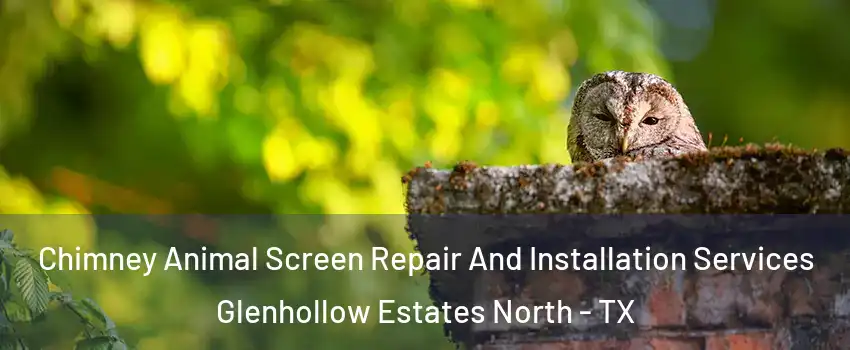 Chimney Animal Screen Repair And Installation Services Glenhollow Estates North - TX