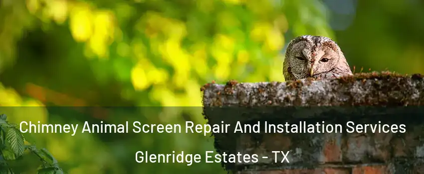 Chimney Animal Screen Repair And Installation Services Glenridge Estates - TX