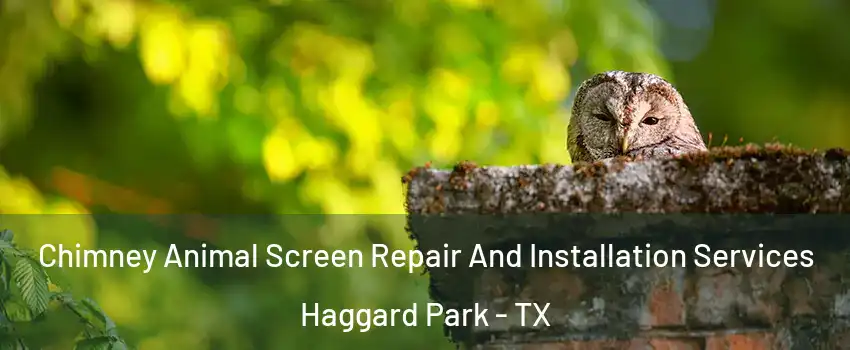 Chimney Animal Screen Repair And Installation Services Haggard Park - TX