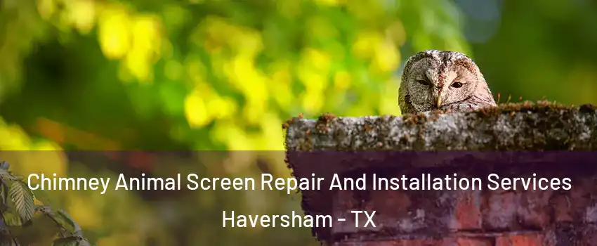 Chimney Animal Screen Repair And Installation Services Haversham - TX