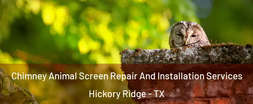 Chimney Animal Screen Repair And Installation Services Hickory Ridge - TX