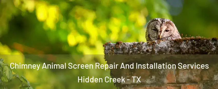 Chimney Animal Screen Repair And Installation Services Hidden Creek - TX