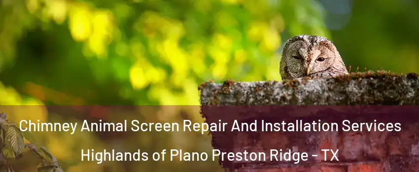 Chimney Animal Screen Repair And Installation Services Highlands of Plano Preston Ridge - TX