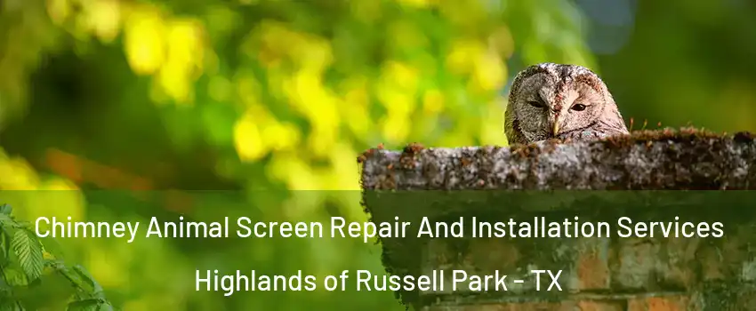 Chimney Animal Screen Repair And Installation Services Highlands of Russell Park - TX