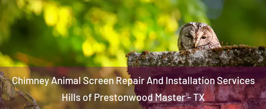 Chimney Animal Screen Repair And Installation Services Hills of Prestonwood Master - TX