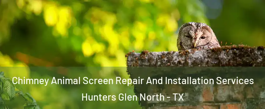 Chimney Animal Screen Repair And Installation Services Hunters Glen North - TX