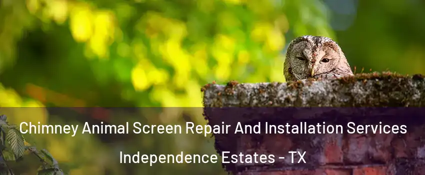 Chimney Animal Screen Repair And Installation Services Independence Estates - TX