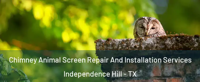 Chimney Animal Screen Repair And Installation Services Independence Hill - TX