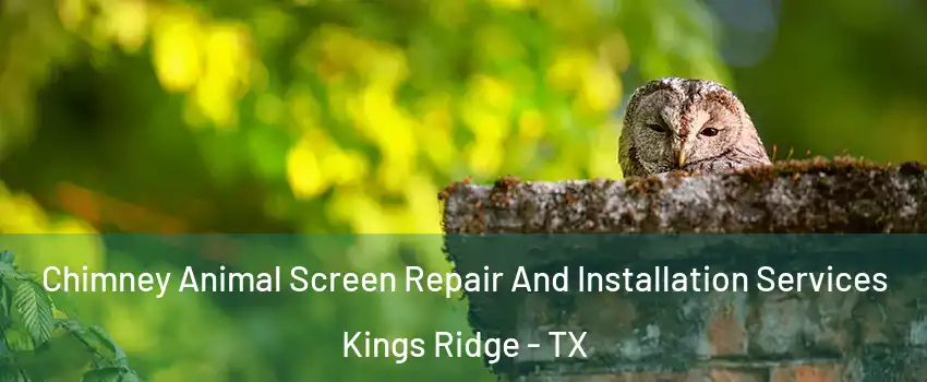 Chimney Animal Screen Repair And Installation Services Kings Ridge - TX