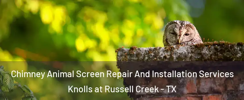 Chimney Animal Screen Repair And Installation Services Knolls at Russell Creek - TX