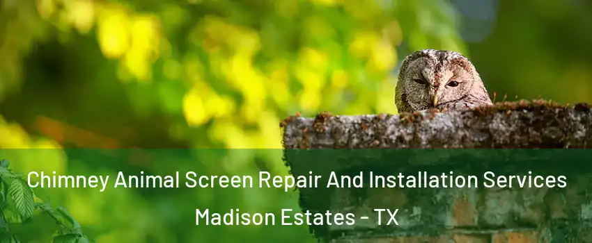 Chimney Animal Screen Repair And Installation Services Madison Estates - TX