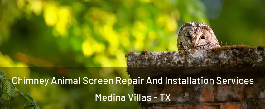 Chimney Animal Screen Repair And Installation Services Medina Villas - TX