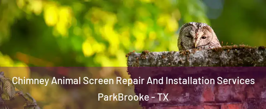 Chimney Animal Screen Repair And Installation Services ParkBrooke - TX