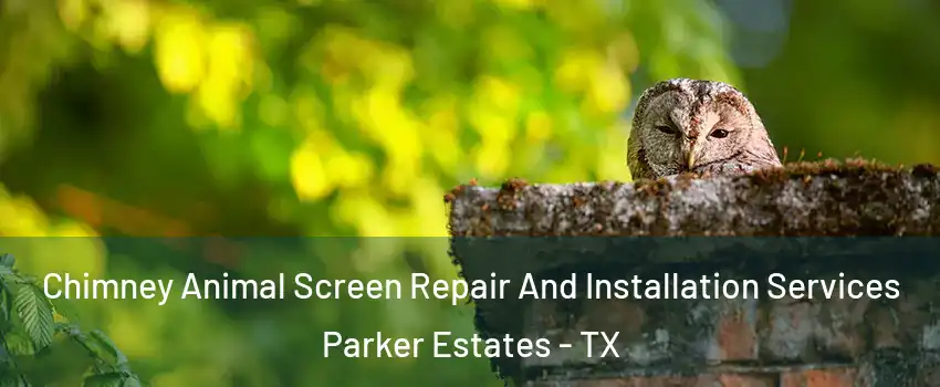 Chimney Animal Screen Repair And Installation Services Parker Estates - TX