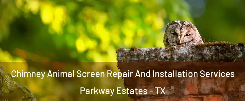 Chimney Animal Screen Repair And Installation Services Parkway Estates - TX