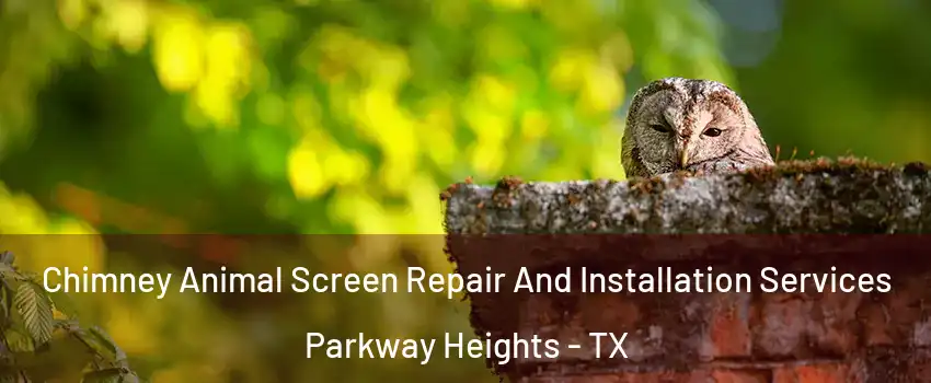 Chimney Animal Screen Repair And Installation Services Parkway Heights - TX