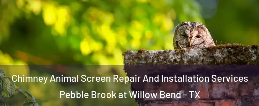 Chimney Animal Screen Repair And Installation Services Pebble Brook at Willow Bend - TX