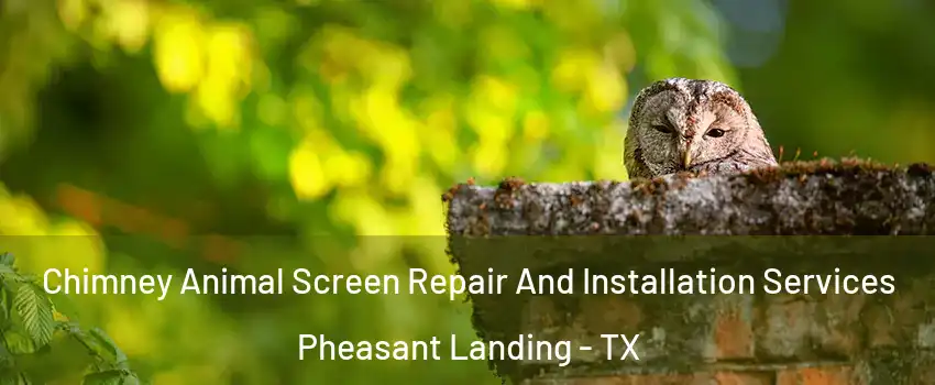 Chimney Animal Screen Repair And Installation Services Pheasant Landing - TX