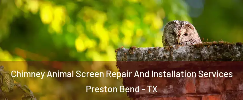 Chimney Animal Screen Repair And Installation Services Preston Bend - TX