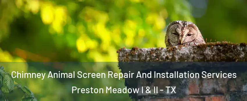 Chimney Animal Screen Repair And Installation Services Preston Meadow I & II - TX