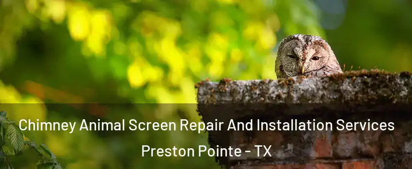 Chimney Animal Screen Repair And Installation Services Preston Pointe - TX