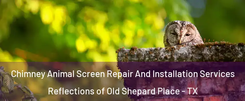 Chimney Animal Screen Repair And Installation Services Reflections of Old Shepard Place - TX