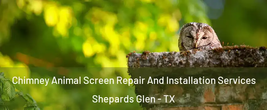 Chimney Animal Screen Repair And Installation Services Shepards Glen - TX