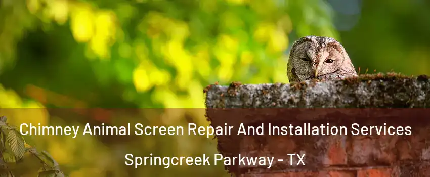 Chimney Animal Screen Repair And Installation Services Springcreek Parkway - TX