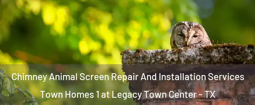 Chimney Animal Screen Repair And Installation Services Town Homes 1 at Legacy Town Center - TX