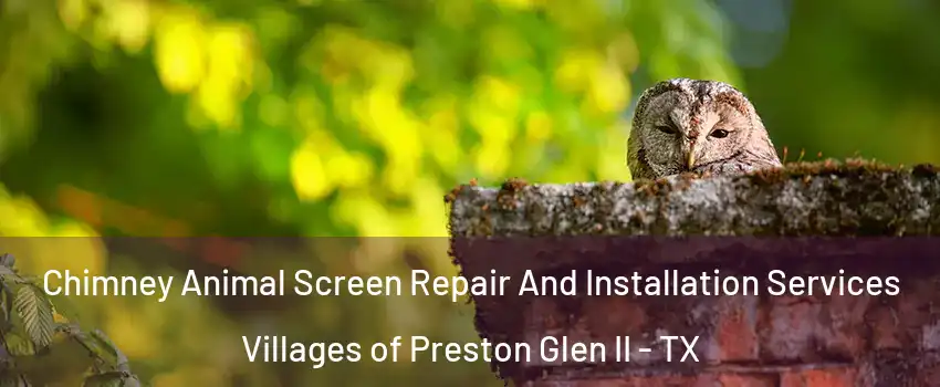 Chimney Animal Screen Repair And Installation Services Villages of Preston Glen II - TX