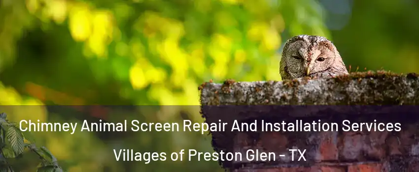 Chimney Animal Screen Repair And Installation Services Villages of Preston Glen - TX