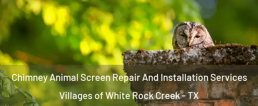 Chimney Animal Screen Repair And Installation Services Villages of White Rock Creek - TX