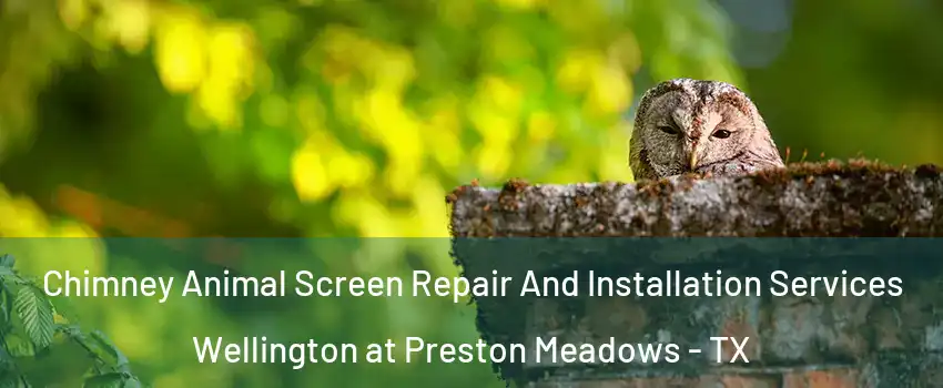 Chimney Animal Screen Repair And Installation Services Wellington at Preston Meadows - TX